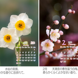 Power of Flower　2022年花のカレンダー２L12枚入り　白い額付き 2枚目の画像