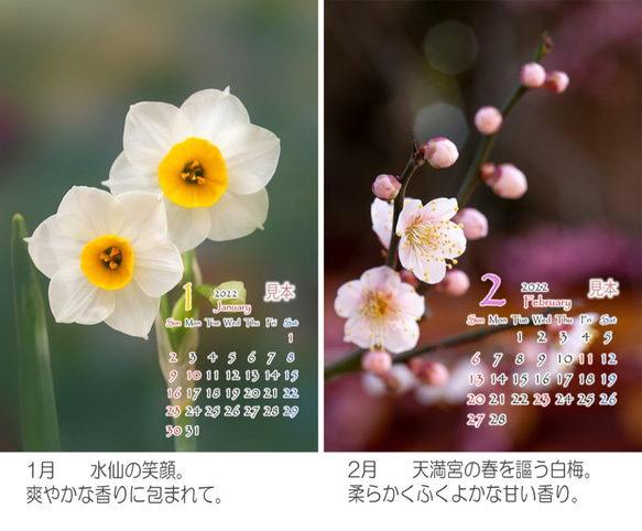 Power of Flower　2022年花のカレンダー２L12枚入り　白い額付き 2枚目の画像