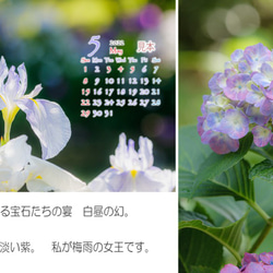 Power of Flower　2022年花のカレンダー２L12枚入り　白い額付き 4枚目の画像