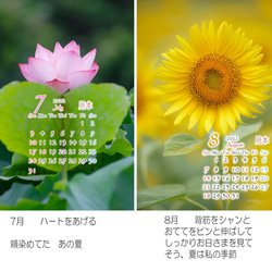 Power of Flower　2022年花のカレンダー２L12枚入り　白い額付き 5枚目の画像