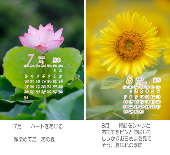 Power of Flower　2022年花のカレンダー２L12枚入り　白い額付き 5枚目の画像