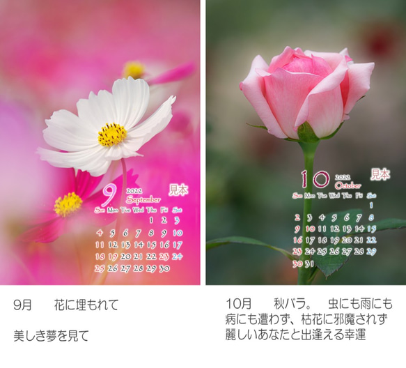 Power of Flower　2022年花のカレンダー２L12枚入り　白い額付き 6枚目の画像