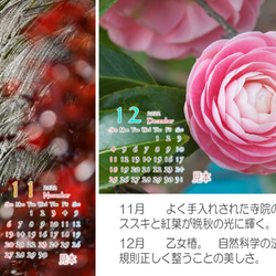 Power of Flower　2022年花のカレンダー２L12枚入り　白い額付き 7枚目の画像