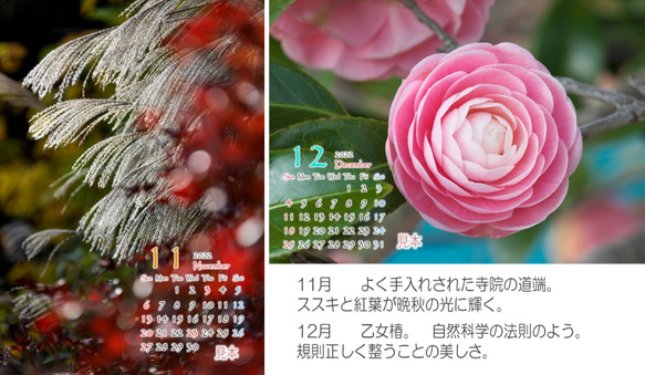 Power of Flower　2022年花のカレンダー２L12枚入り　白い額付き 7枚目の画像