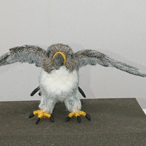 ハヤブサ 羊毛フェルト あたろう 通販 12625068｜Creema(クリーマ)