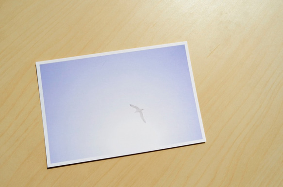 選べるポストカード3枚セット【No.15 bird】 2枚目の画像