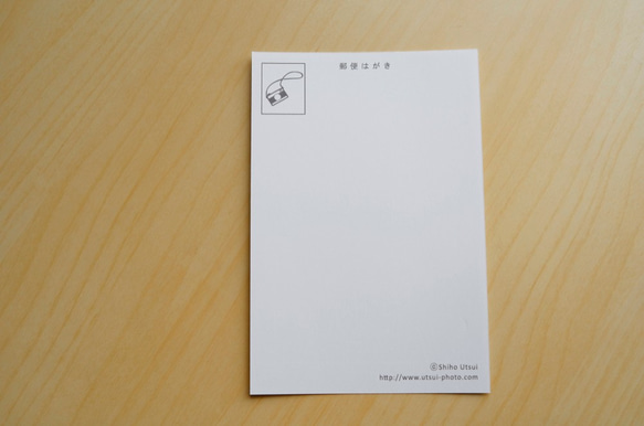 選べるポストカード3枚セット【No.S02 さくら】 3枚目の画像