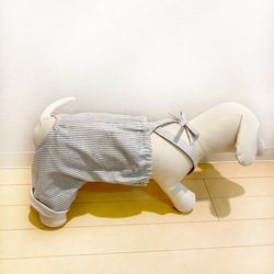 お洒落なヒッコリーパンツ♡   犬服、犬服ハンドメイド、小型犬服、フレブル服、パグ服 3枚目の画像