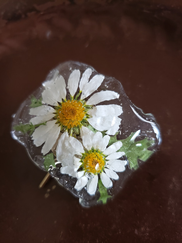 再販　本物のお花のポニーフック　　ノースポール 5枚目の画像
