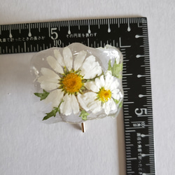 再販　本物のお花のポニーフック　　ノースポール 6枚目の画像