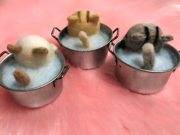 プールinにゃんこ^._.^①ラグドール子猫♡ 羊毛フェルトのふわふわ仔猫inプール『Creema限定』 5枚目の画像