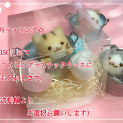 プールinにゃんこ^._.^②茶トラ子猫♡ 羊毛フェルトのふわふわ仔猫inプール『Creema限定』 4枚目の画像