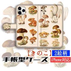 【洋書 生物図鑑】イラスト付き図鑑 コラージュ素材 動物・植物・キノコetc 洋書 生物図鑑】イラスト付き図鑑 コラージュ素材 動物・植物・キノコ