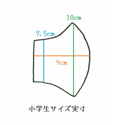  第7張的照片