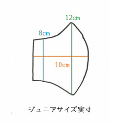 ●ジュニアサイズ●夏マスク◎子どもがつけてもずれにくいハンドメイドの立体マスク◎夏マスクシンプルマリンナチュラルイカリ 9枚目の画像