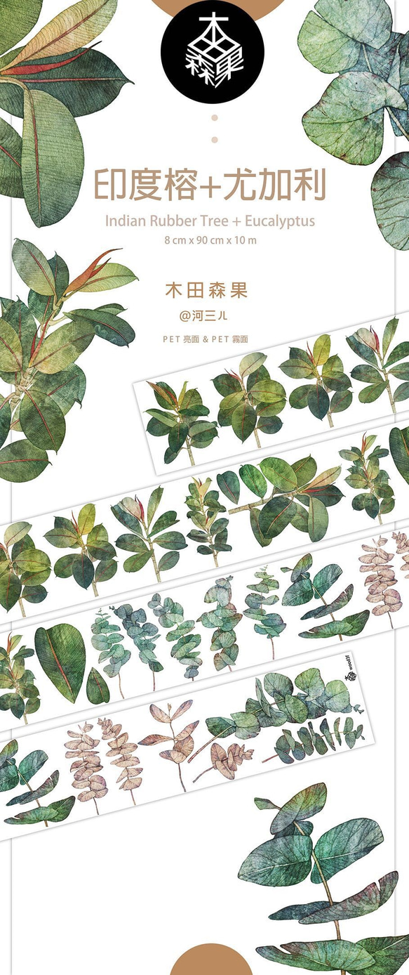 322 / Indian榕+ Eucalypus ... /紙テープマスキングテープ/ Mutian Senguo wood3f 3枚目の画像