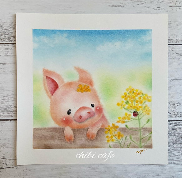 【原画】『ドルゴレ・ブガ』（猪　イノシシ　パステル画） 原画】『ドルゴレ・ブガ』（猪 イノシシ パステル画）