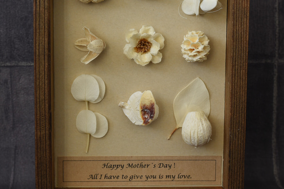 母の日ギフト　植物標本プレート　無料ラッピング&カード添え 3枚目の画像