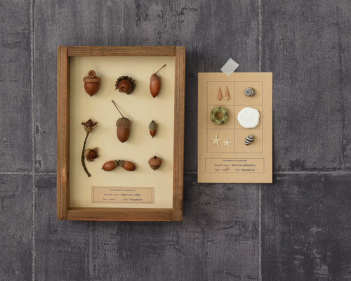 1_71097c104bd45ad95842bb7d2a81