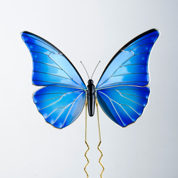 モルフォ蝶のかんざし 2枚目の画像
