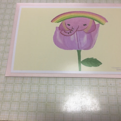 カラフルなゾウ&花と仔象その他ポストカードセット 1枚目の画像
