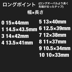 ヒョウ柄×マットブラックネイルチップ 4枚目の画像