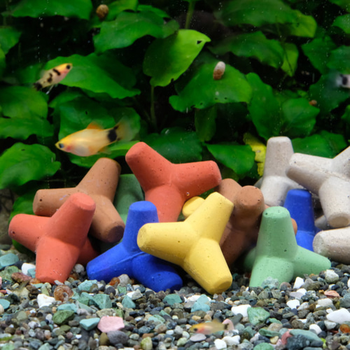 5cmカラーミニテトラ 10個 観賞魚アクアリウム対応 ミニチュア