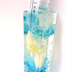 青（ブルー） ハーバリウム・植物標本 のおすすめ人気通販｜Creema