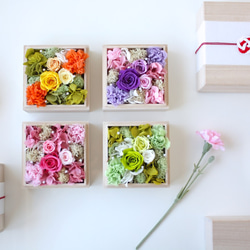 フラワー　フルーツ シリーズ Flower Series 24個 フラワー フルーツ シリーズ Flower Series 24個 フラワー