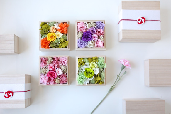 プリザーブドフラワー花材 KS アウトレット | プリザーブドフラワーKnext