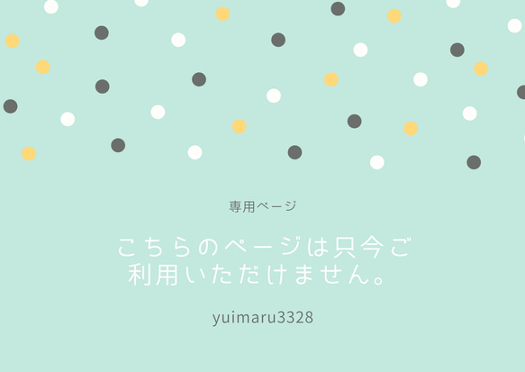 専用ページ 1枚目の画像