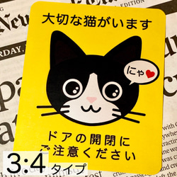 【ハチワレ鼻桃】猫がいます四角ステッカー4y 1枚目の画像