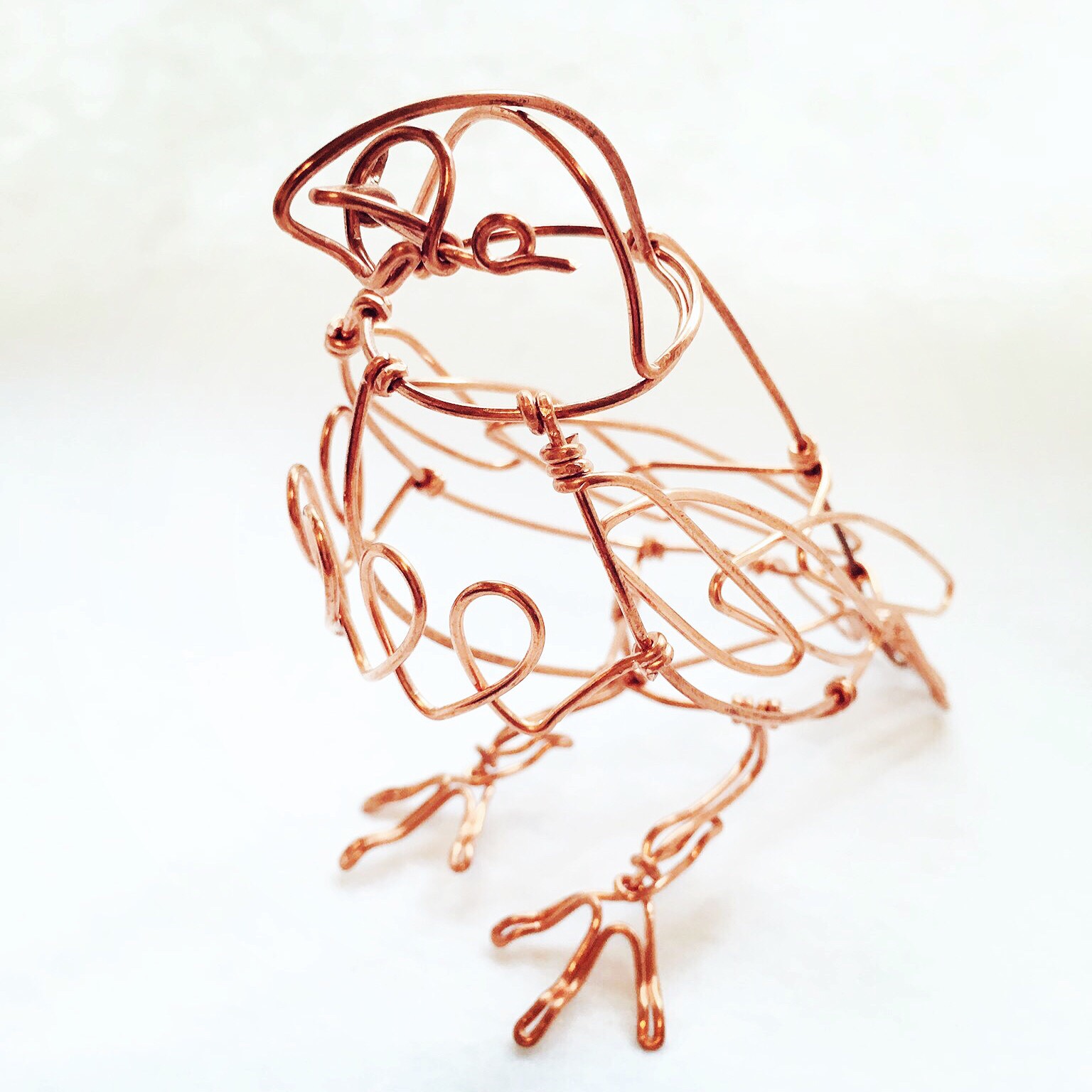 花と小鳥（ひなげし）ワイヤーアート　ワイヤークラフト　半立体 花と小鳥（ひなげし）ワイヤーアート ワイヤークラフト 半立体