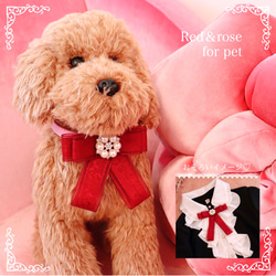 Red&rose for pet 1枚目の画像