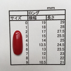 計測用ネイルチップ  ロング 8枚目の画像