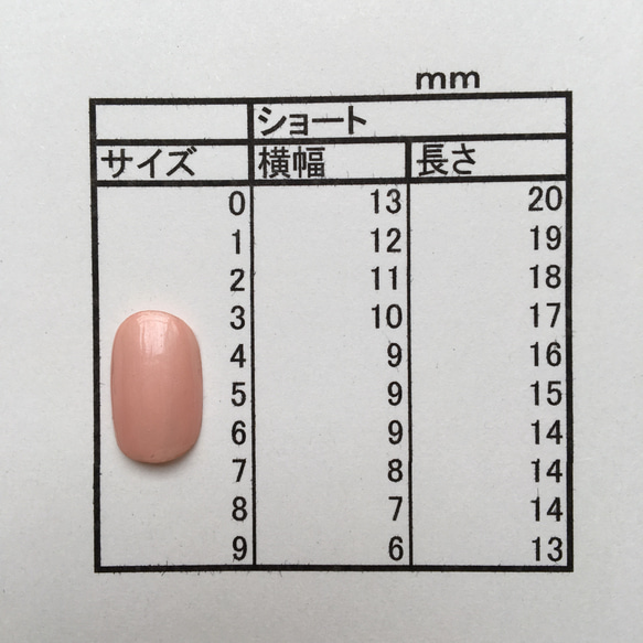 計測用ネイルチップ  ショート 5枚目の画像