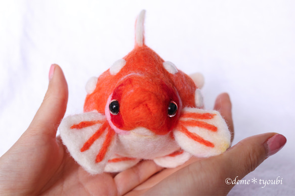 大きなピンポンパール　金魚　羊毛フェルト　誕生日　ペット　動物　アクアリウム　透明　クリスマス　お正月 1枚目の画像