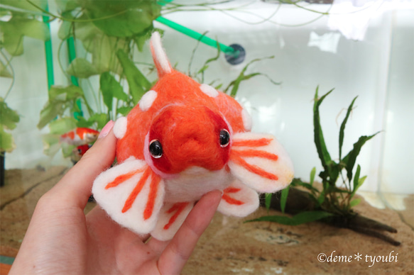 大きなピンポンパール　金魚　羊毛フェルト　誕生日　ペット　動物　アクアリウム　透明　クリスマス　お正月 5枚目の画像