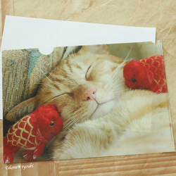 金魚と猫のクリアファイル　Aタイプ 2枚目の画像