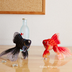 0_94eda86f251054f9c8053059186f