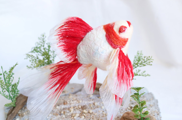 艶錦-更紗-　雪　結晶　金魚　羊毛フェルト　誕生日　ペット　動物　アクアリウム　クリスマス 3枚目の画像