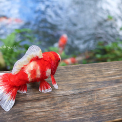 鱗付き四尾和金　金魚　羊毛フェルト　誕生日　ペット　動物　アクアリウム　透明　ホワイトデー　春　夏 3枚目の画像