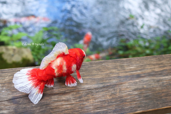 鱗付き四尾和金　金魚　羊毛フェルト　誕生日　ペット　動物　アクアリウム　透明　ホワイトデー　春　夏 3枚目の画像