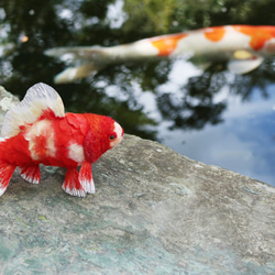 鱗付き四尾和金　金魚　羊毛フェルト　誕生日　ペット　動物　アクアリウム　透明　ホワイトデー　春　夏 6枚目の画像