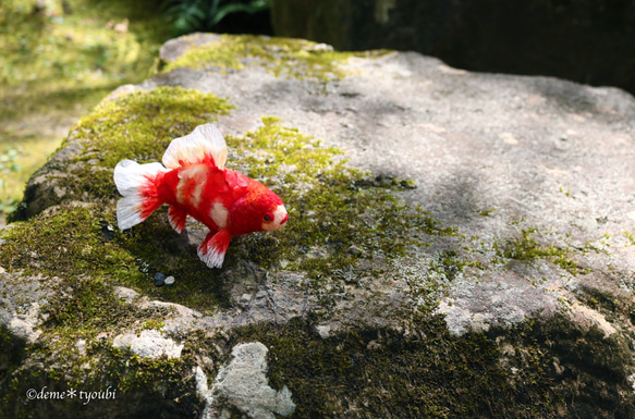 鱗付き四尾和金　金魚　羊毛フェルト　誕生日　ペット　動物　アクアリウム　透明　ホワイトデー　春　夏 7枚目の画像