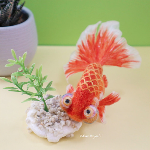 金魚 アクリル樹脂×天然木インテリア 金魚アート 祭 こだわりの 金魚 アクリル樹脂×天然木インテリア 金魚アート 祭 こだわりの