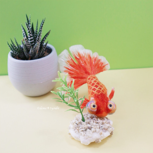 頂天眼 金魚 羊毛フェルト 誕生日 ペット 動物 アクアリウム 透明