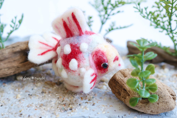 桜ピンポン　金魚　羊毛フェルト　誕生日　ペット　動物　アクアリウム　透明　ホワイトデー　春　夏 3枚目の画像