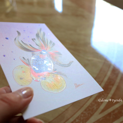 キャリコ水泡眼　金魚　色鉛筆　誕生日　ペット　動物　アクアリウム　透明　青　水　夏　イラスト 3枚目の画像