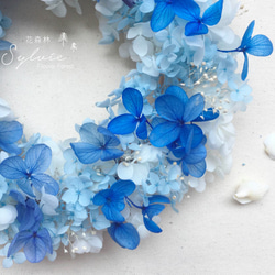 Sylvie花森林-不凋花花圈-藍色漸層海洋風繡球花/滿天星花圈(藍/白) 第3張的照片
